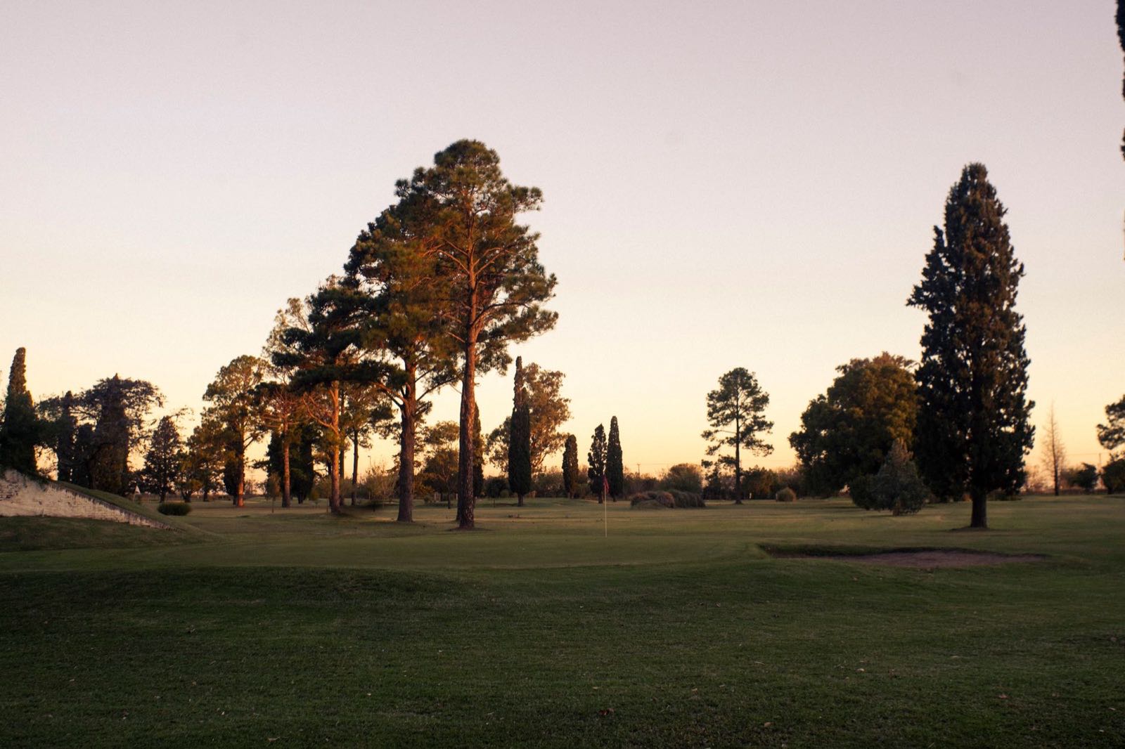 Golf fairway ringed by tall trees at twilight
