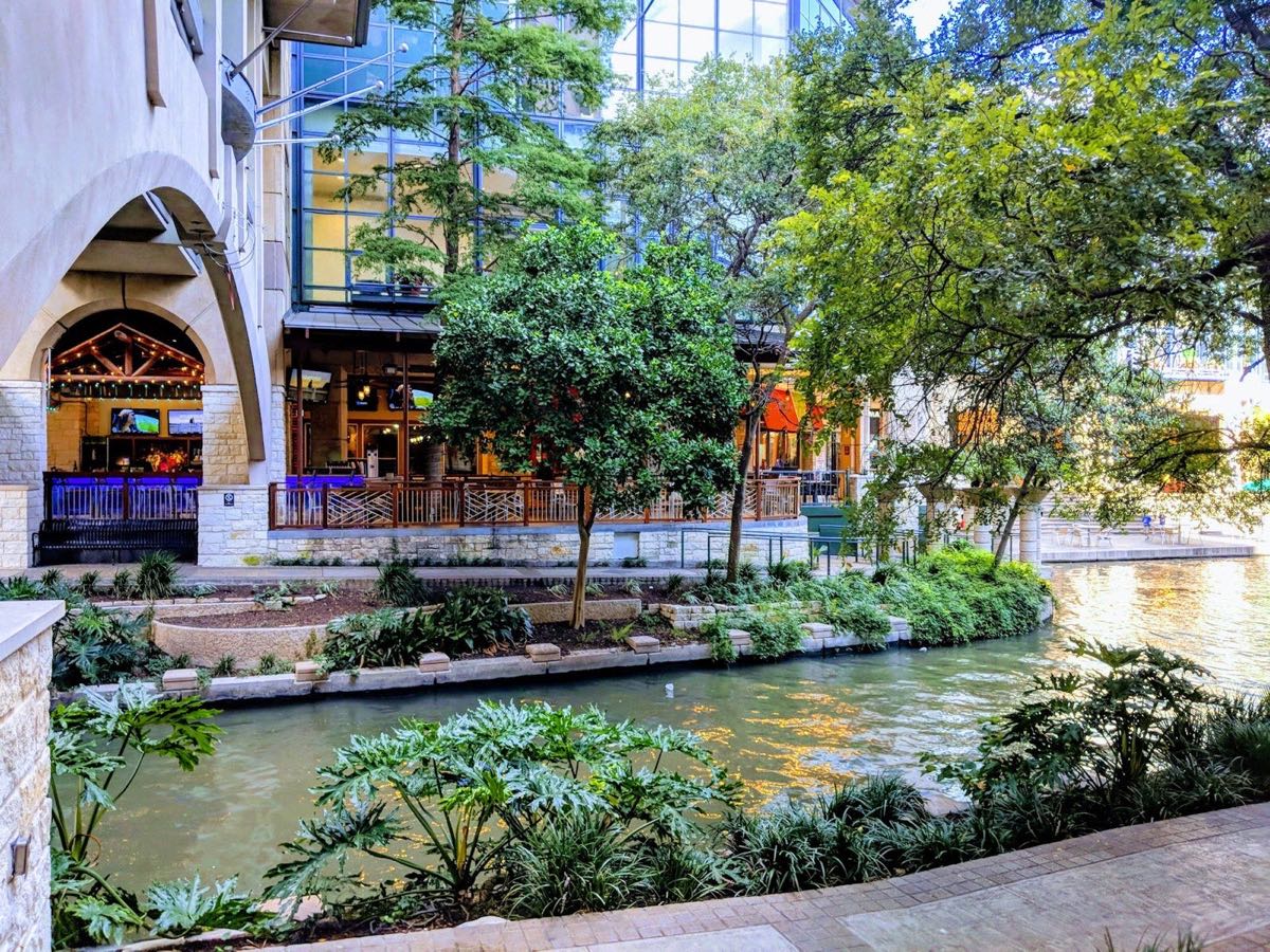 Cafes shaded by cypress trees along the San Antonio River Walk