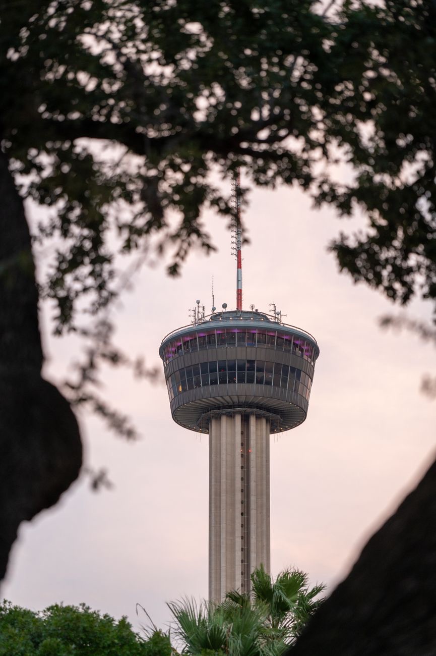 Observation tower at dusk framed by oak branches